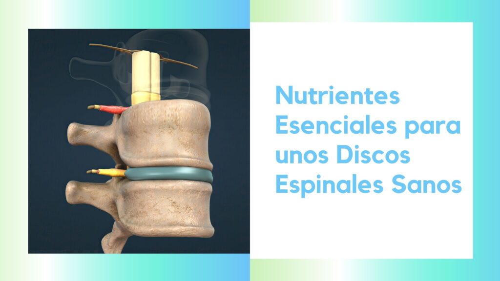 Nutrientes Esenciales para unos Discos Espinales Sanos