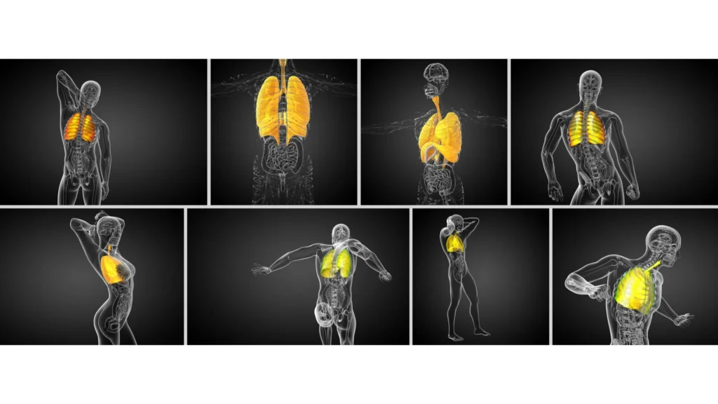Fisiología del Sistema Respiratorio
