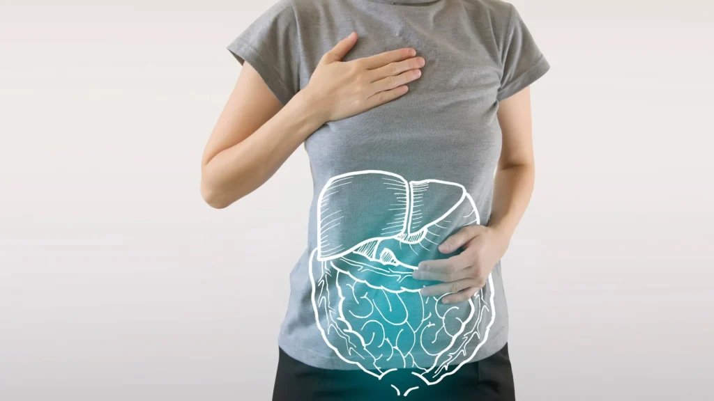La Digestión y Absorción de Nutrientes