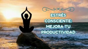 silueta de mujer meditando sobre una roca al borde de la playa