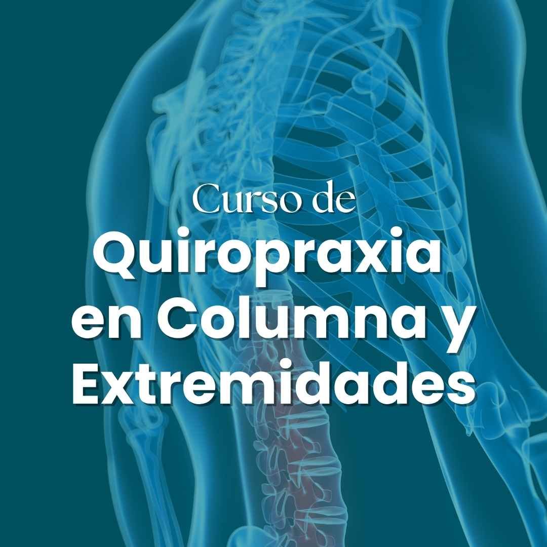 columna vertebral, Encima la frase: curso de quiropraxia en columna y extremidades