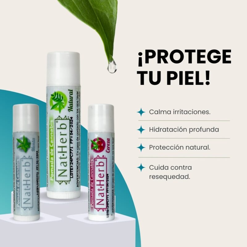 Pomada Lipstick con Cannabis
