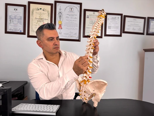 Quiropráctico con columna vertebral en las manos